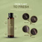 Ajwa Anti-Dandruff Hair Oil